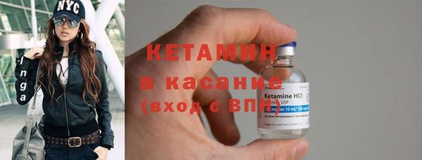 гашик Алексин