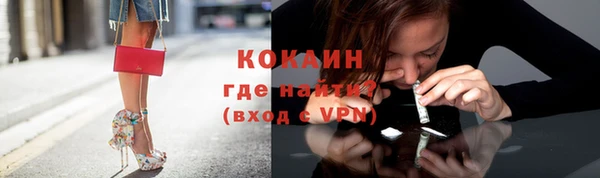 прущий лед Алзамай