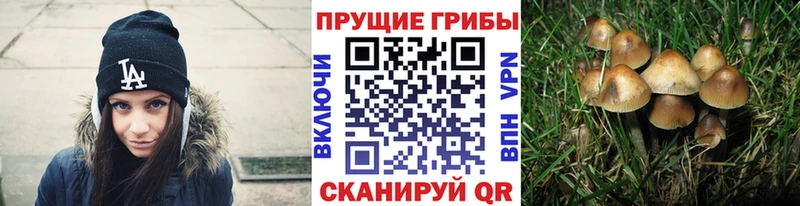 Псилоцибиновые грибы ЛСД  Аткарск 